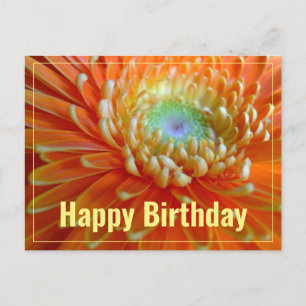 Cartão Postal Laranja Alegre Gerber  Feliz Aniversário