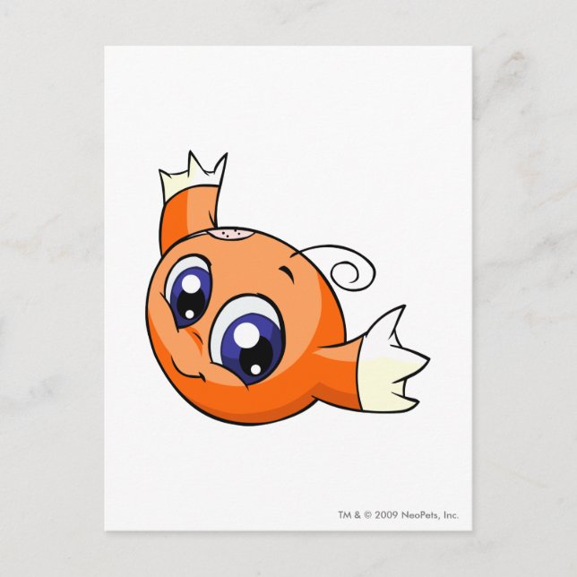 Cartão Postal Laranja de Kiko (Frente)