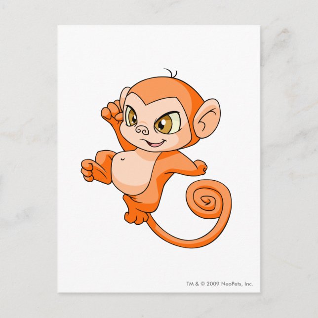 Cartão Postal Laranja de Mynci (Frente)