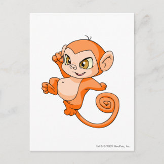 Cartão Postal Laranja de Mynci