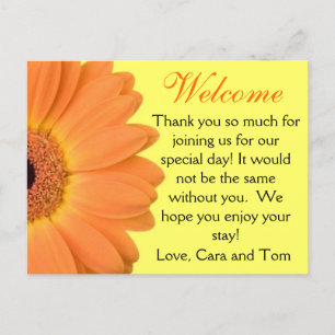 Cartão Postal Laranja e Amarelo Gerber Daisy Wedding Bag de Boas