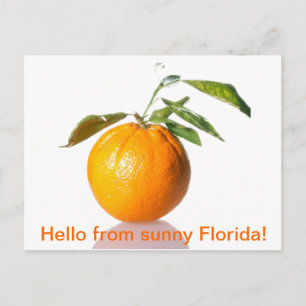 Cartão postal laranja - saudações da ensolarada Fl