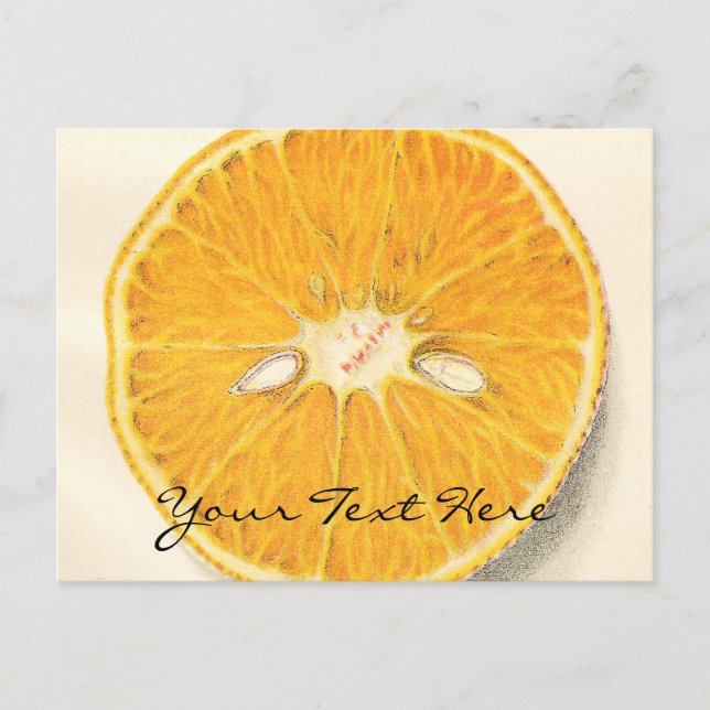 Cartão postal Laranja Vintage (Frente)