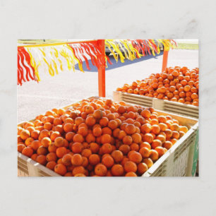 Cartão Postal Laranjas da Flórida