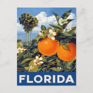 Cartão Postal Laranjas da Flórida Viagem Vintage