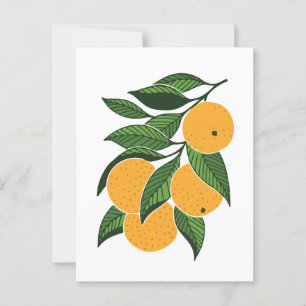 Cartão Postal Laranjas e folhas minimalistas