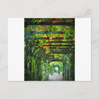 Cartão Postal Laranjas Laranjas e Limões Amarelos em Treliça Ver