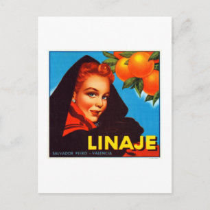 Cartão Postal Laranjas Linaje Valência