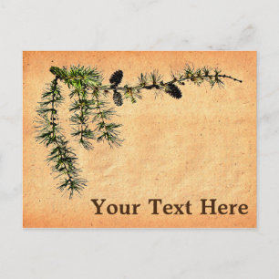 Cartão Postal Larch Branch