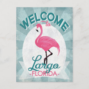 Cartão Postal Largo Florida Pink Flamingo Retro