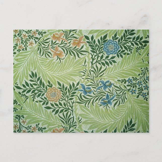 Cartão Postal Larkspur Flower Victorian (Frente)