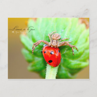 Cartão Postal L'arrivée de la proie