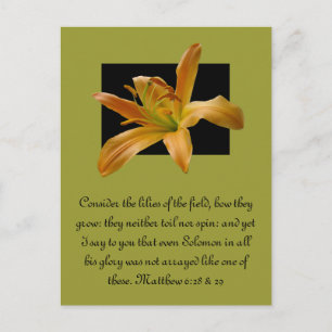 Cartão Postal Larry's Orange Lily