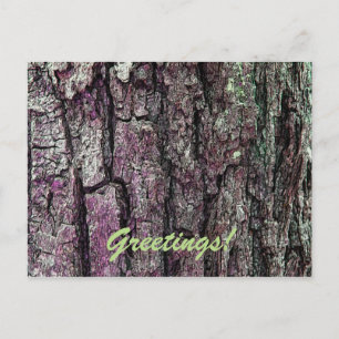 Cartão Postal Latido Pine Antigo com Saudações de Texto