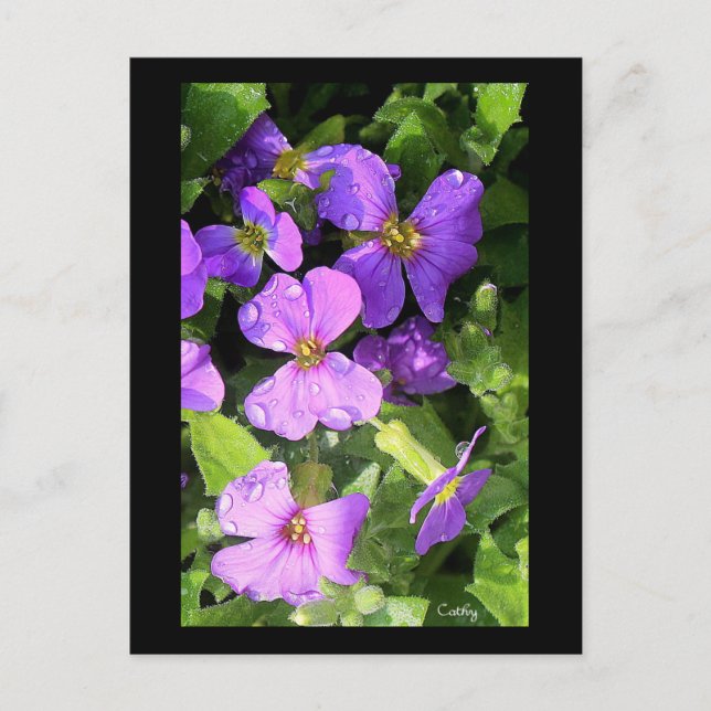 Cartão Postal L'aubriète (Frente)