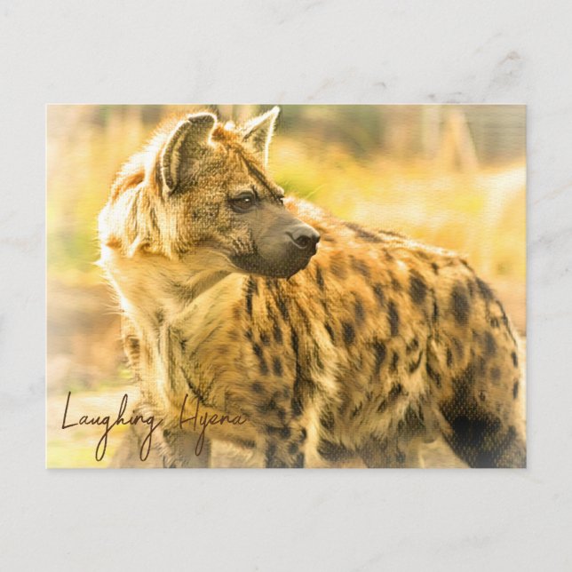 Cartão Postal Laughing Hyena ポストカード (Frente)