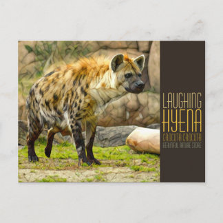 Cartão Postal Laughing hyena [Postcard]