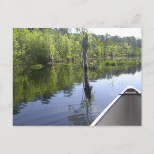 CARTÃO POSTAL "LAURA S. PARQUE WALKER STATE"