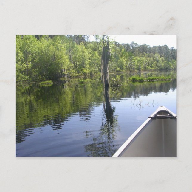 CARTÃO POSTAL LAURA S. WALKER STATE PARK (Frente)