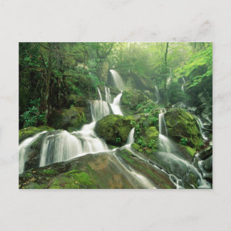 Cartão Postal Laurel Falls, Tennessee
