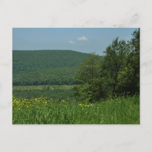 Cartão Postal Laurel Highlands Pennsylvania Summer Photoics