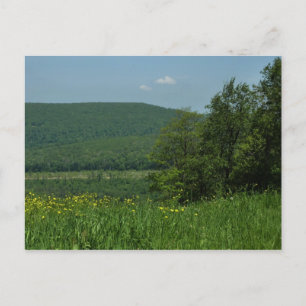 Cartão Postal Laurel Highlands Pennsylvania Summer Photoics