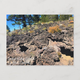Cartão Postal Lava Cast Forest, Oregon