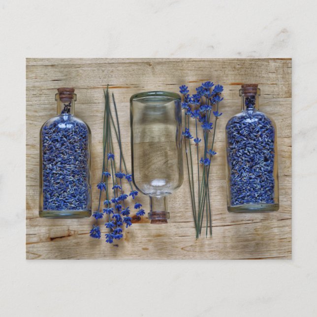 Cartão Postal Lavanda (Frente)