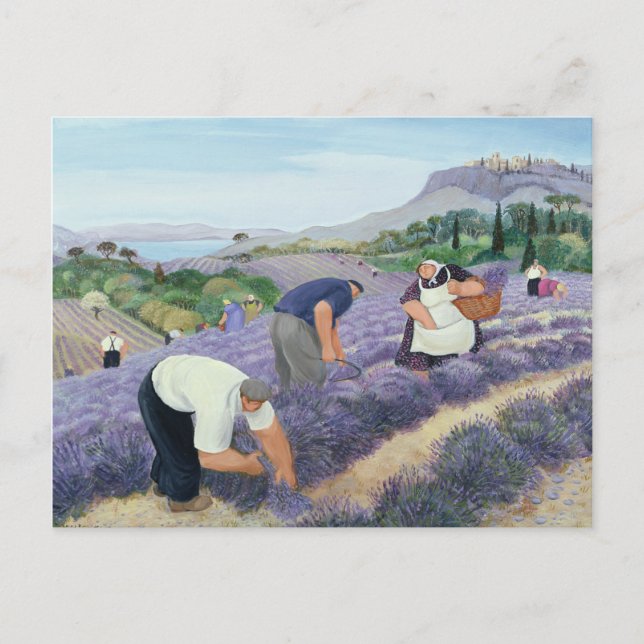 Cartão Postal Lavanda (Frente)