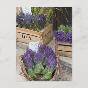 Cartão Postal Lavanda à venda, Provença, França