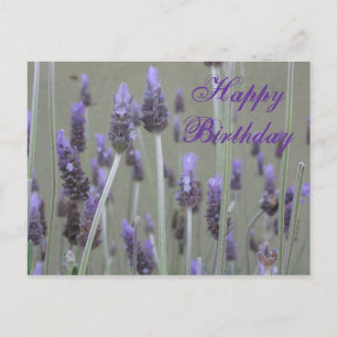 Cartão Postal lavanda Feliz Aniversário