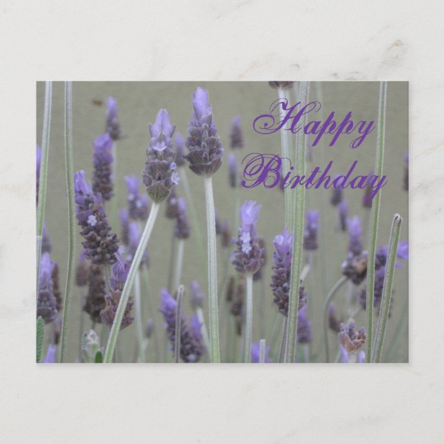 Cartão Postal lavanda Feliz Aniversário (Frente)