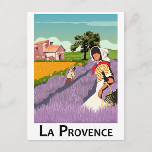 Cartão Postal Lavanda Field in Provence, França