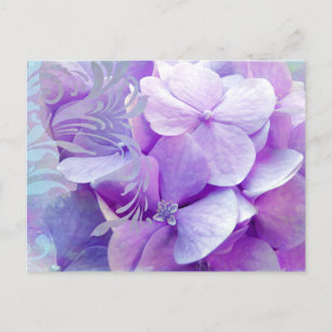 Cartão Postal Lavanda Hydrangea Swirc Floral Cartão-postal