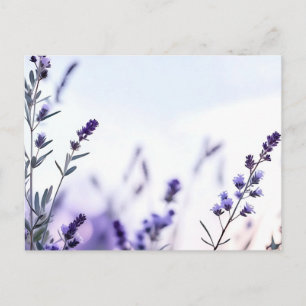 Cartão Postal Lavanda Romântica Aquarela