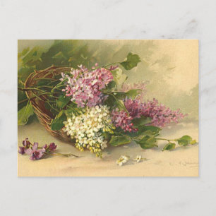 Cartão Postal Lavander e Beleza Branca