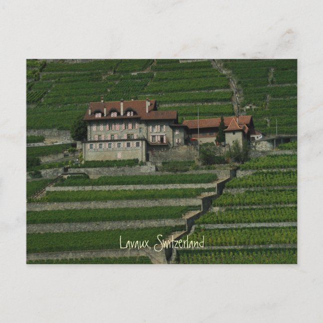 Cartão Postal Lavaux, Suiça (Frente)