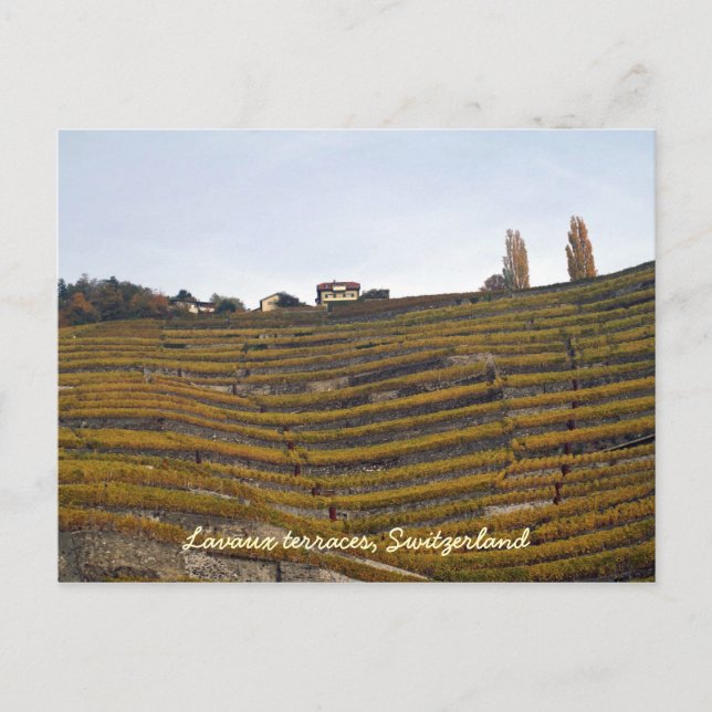 Cartão Postal Lavaux terraces (Frente)