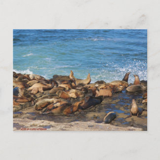 Cartão Postal Lazing On A Sunny Afternoon