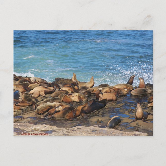 Cartão Postal Lazing On A Sunny Afternoon (Frente)