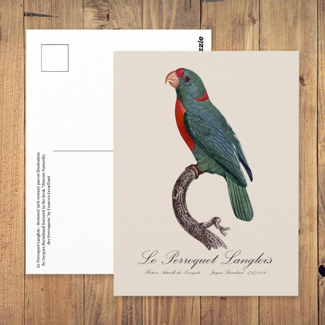 Cartão Postal Le Perroquet Langlois (Le Perroquet Langlois by Jacques Barraband. Postcard)
