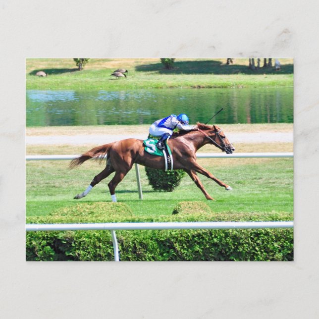 Cartão Postal Lea - Coluna Chestnut Vencedora (Frente)