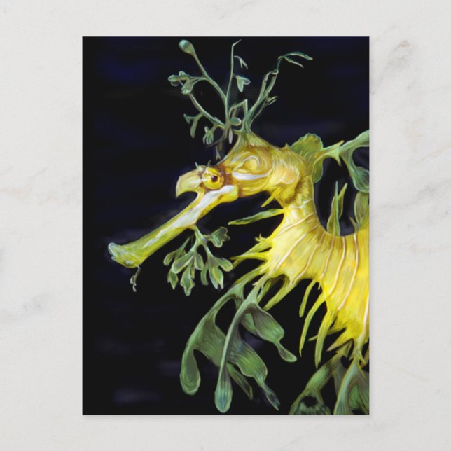 Cartão Postal Leafy Sea Dragon (Frente)