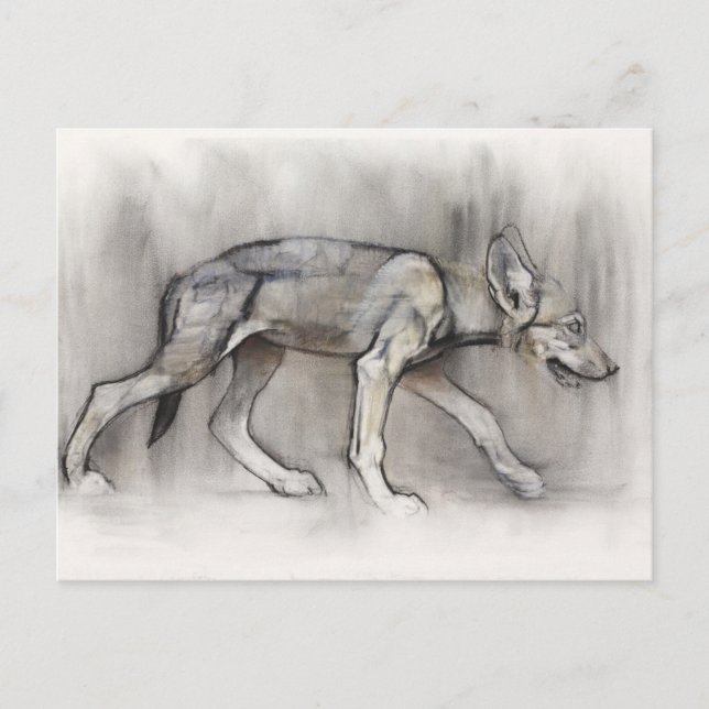 Cartão Postal Lean Pup (Frente)