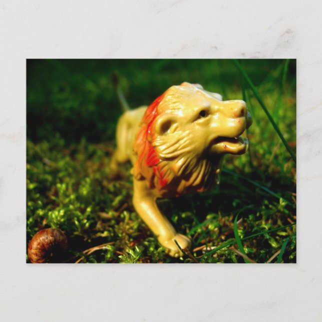 Cartão Postal leão (Frente)