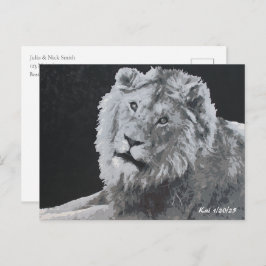 Cartão Postal Leão, Leão Africano, Animal
