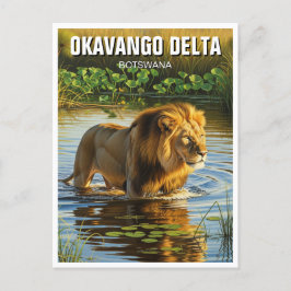 Cartão Postal Leão no Okavango Delta Botswana