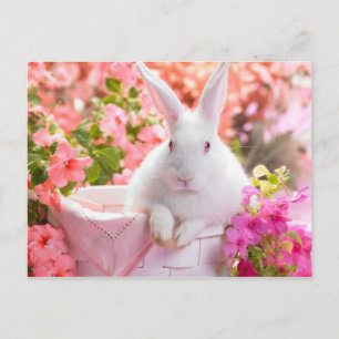Cartão Postal Lebre Springtime