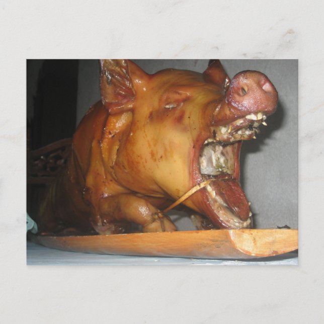 Cartão Postal Lechon (Frente)