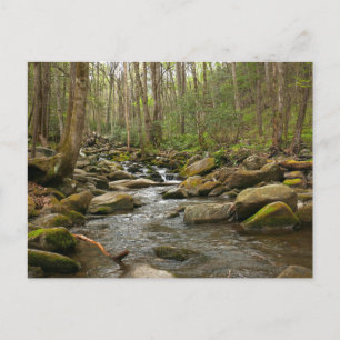 Cartão Postal LeConte Creek nas Montanhas do Enfumaçado do Exce